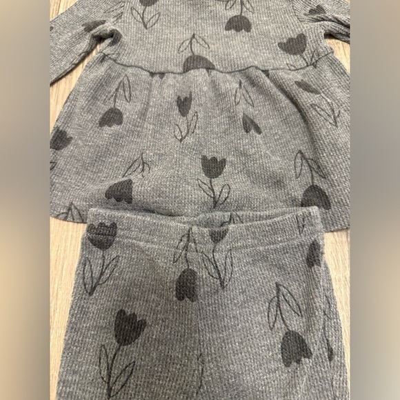 Carter’s Baby Girl Gray Black Tulip 2 Piece Outfit Long Sleeve Size 9m - Picture 4 of 4